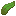 Kelp