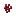 Nether Wart