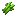 Sugar Cane